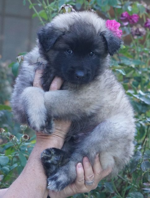 AABoyBlue6wk AABoyBlue6wk