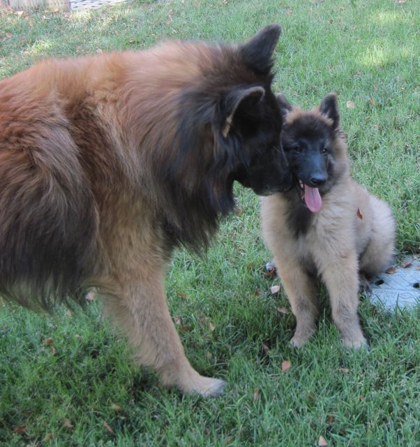 Aramis12years.Balia12wks Aramis12years.Balia12wks