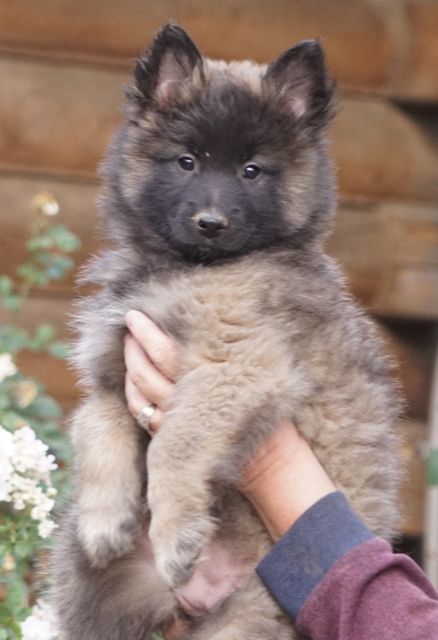 BBGirlPink8wk BBGirlPink8wk