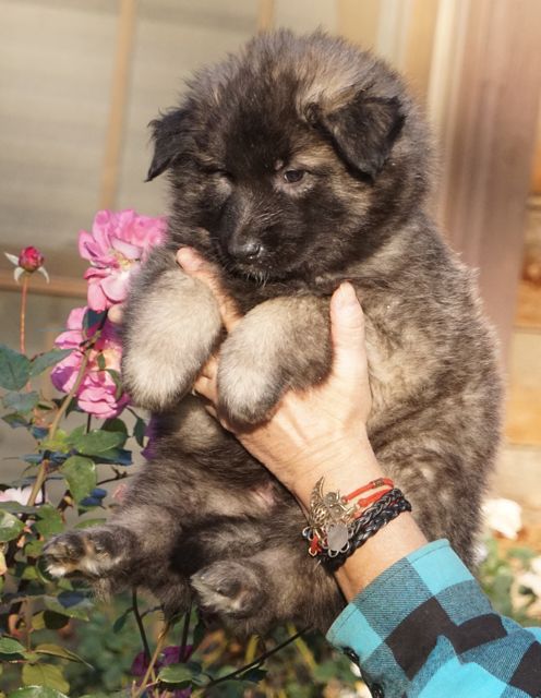 BBoyDkBlue6wk BBoyDkBlue6wk