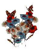 Butterfliesofflowers Butterfliesofflowers