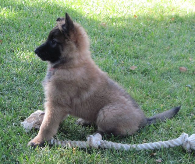 KPinkGirl.8wk KPinkGirl.8wk