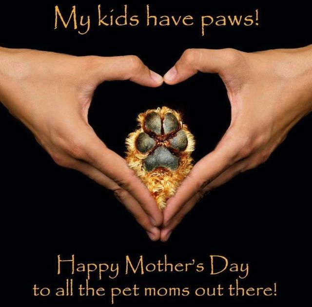 Motherday Motherday