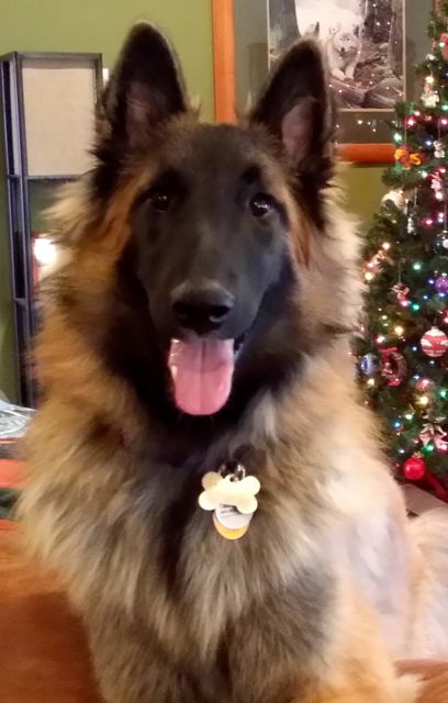 Romeo.7mo Romeo.7mo