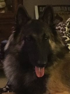S.BoyGreen.10mo S.BoyGreen.10mo