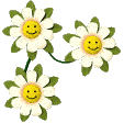 flower_smiles_lg_clr flower_smiles_lg_clr