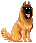 tervueren tervueren